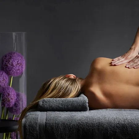 Hotel Intercontinental By Ihg Sofía